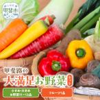 旬のお野菜がどっさり 甲斐路の大満足お野菜セット