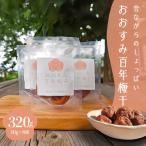 2404 昔ながらのしょっぱい おおすみ