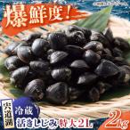 しじみ 鮮度抜群の貴重な特大粒 生鮮 砂抜済
