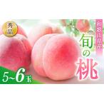 ふるさと納税 桃 もも 桃 旬 おまかせ 5〜6玉入り 秀品【S058-mtgn043】 和歌山県かつらぎ町