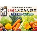 生産者おまかせ野菜2回定期便 夏5月~7月
