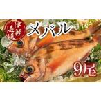 小泊港水揚げ 津軽海峡メバル 姿9尾 ※下処理済み