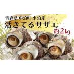 天然 活きてるサザエ 約2kg