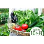 津軽の季節の野菜詰め合わせセット F6N-102