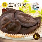生きくらげ 1kg_野菜 きのこ キノコ_