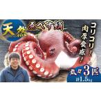 fu.... налог осьминог ....3 шт ( итого 1.5kg) < большой Seto блок ..> [CAR007] осьминог ... Nagasaki префектура запад море город 