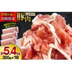 ふるさと納税 豚肉 こま切れ 宮崎県産 豚こま切れ 300g ×18p 計 5.4kg [甲斐精肉店 宮崎県 美郷町 31as0111] 宮崎県美郷町