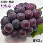 和歌山かつらぎ町産 たねなしピオーネ 約3kg