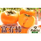 富有柿 約2kg
