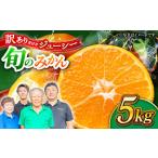 みかん 約5kg