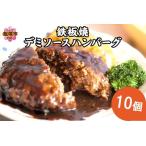 ショッピングハンバーグ ふるさと納税 鉄板焼ハンバーグ デミソース 10個【A-817】大好評の飯塚の鉄板焼ハンバーグ 福岡県飯塚市