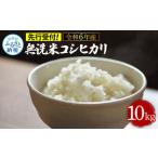 令和7年産 無洗米コシヒカリ10キロ