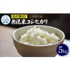 令和7年産 無洗米コシヒカリ5キロ