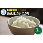 令和7年産 無洗米コシヒカリ3キロ