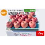 りんご 糖度13度以上 訳あり品 サンふじ