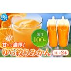 無添加 ストレート果汁 みかんジュース 1L×2本
