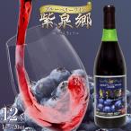 ワイン ブルーベリーワイン 紫泉郷 しせんきょう 12本