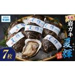 ふるさと納税 【先行予約 2026年6月以降発送】 天然 岩ガキ ( 夏輝 ) 7 枚 岩ガキ 鳥取県琴浦町