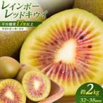 キウイフルーツ レインボーレッド2kg