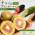 産キウイ&フィンガーライムセット キウイ