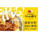 ふるさと納税 うらわ餃子　レギュ