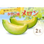 ふるさと納税 【先行予約/数量限定100】夕日ヶ浦メロン2玉(2025年7月中旬〜発送) 京都府京丹後市