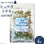 ハーブティー ヒュウガトウキ ハーフサイズ 4g×1袋