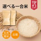 精米 おぼろづき 150g
