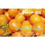 ふるさと納税 ＼光センサー選別／ ちっちゃな有田みかん こつぶみかん 約10kg （3S〜Sサイズ混合）有機質肥料100% ※2026年11月中旬頃〜2027.. 和歌山県紀美野町