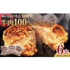 ふるさと納税 堺の技が光る無添加の牛肉100％ハンバーグ 6食セット ハンバーグ 大阪府堺市
