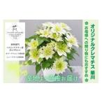 オリジナル クレマチス 華川 5寸【母の日