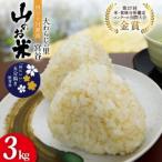 米 大わらじの里 宮谷 山のお米 五分搗き 胚芽米 3kg
