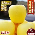 蜜センサー選別 高級りんご はるか 約3kg