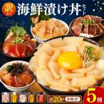 漬け丼5種×4パック 訳あり 酒の肴に 丼に茶漬けに飯ともに