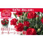 fu.... налог [ предшествующий предварительный заказ ][2026 год 5 месяц 7 день ~8 день отправка ] pot гвоздика красный 5 номер горшок корзина имеется гвоздика цветок День матери подарок подарок ... Kumamoto префектура . плата город 