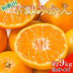 和歌山下津みかん約9kg 2Lサイズ 【TM92036-tec869A..