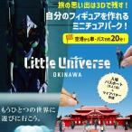 Little Universe 入場パスポート