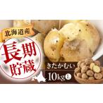 ふるさと納税 じゃがいも きたかむい 10kg じゃがいも 産地直送 お取り寄せ 北海道 ふるさと納税 [AJAK012] 北海道喜茂別町