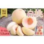 ふるさと納税 桃 2025年 先行予約 ご家庭用 岡山 白桃 4玉〜6玉 1.2kg 前後 もも 岡山県産【 桃 桃 桃 桃 桃 】 岡山県岡山市