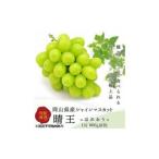 シャインマスカット 晴王 1房