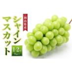 ふるさと納税 シャインマスカット 1房〜2房(1kg以上)| シャインマスカット 岡山県岡山市