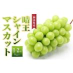 ふるさと納税 晴王 シャインマスカット 1房〜2房(1kg以上)岡山県産| シャインマスカット 岡山県岡山市