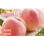 ふるさと納税 桃 2026年  岡山の桃（晩生種）約1.6kg 4~6玉 もも モモ 岡山県産 国産 フルーツ 果物 ギフト 横木農園 岡山県岡山市