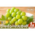 ふるさと納税 シャイン マスカット 晴王 1房 700g前後 マスカット ｜ シャインマスカット 岡山県岡山市