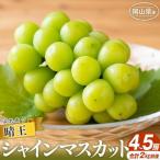 シャインマスカット 2026年 晴王 4~5房 合計2.0kg前後
