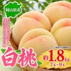 桃 2027年 白桃 約1.8kg