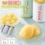 フルーツ萬果荘 清水 白 桃 缶1本と シャインマスカット