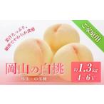 ふるさと納税 桃 2025年 先行予約 ご家庭用 岡山の 白桃(早生、中生種)約1.3kg 4〜6玉 もも モモ フルーツ 果物 岡山市 一宮地区産 国産 赤木.. 岡山県岡山市