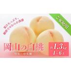 ショッピングふるさと納税 桃 ふるさと納税 桃 2024年 先行予約 ご家庭用 岡山の 白桃（早生、中生種）約1.3kg 4〜6玉 もも モモ フルーツ 果物 岡山市 一宮地区産 国産 赤木.. 岡山県岡山市