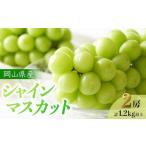ふるさと納税 ぶどう 2026年 先行予約 岡山県産 シャインマスカット 2房 計1.2kg以上＜ジューシーで上品な甘みと高貴な香り＞ | フルーツ 果物 .. 岡山県岡山市